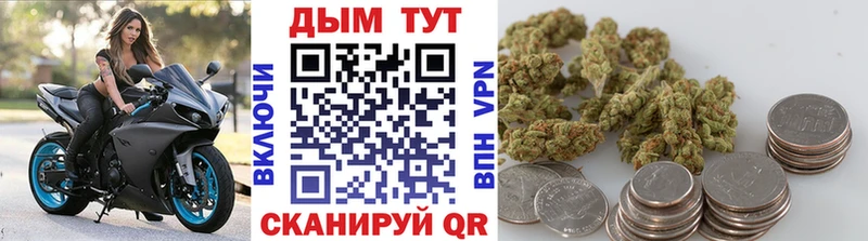 shop официальный сайт Дрезна Каннабис марихуана купить наркотики сайты